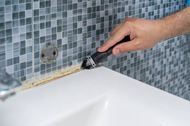 Mold Removal and Inspection in Plumsteadville, PA