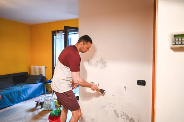 Best Affordable Mold Removal  in Plumsteadville, PA